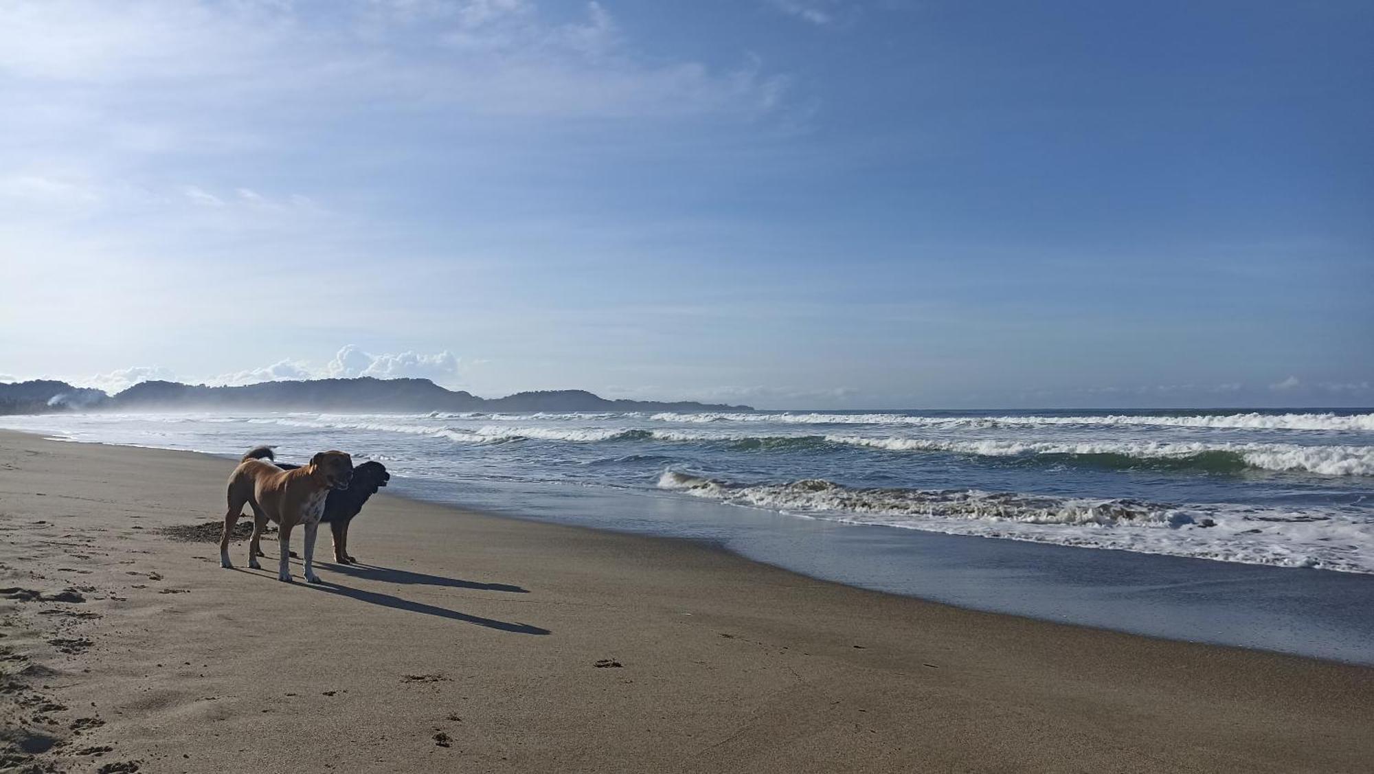 הוסטל San Francisco de Coyote Alouatta Playa Coyote מראה חיצוני תמונה