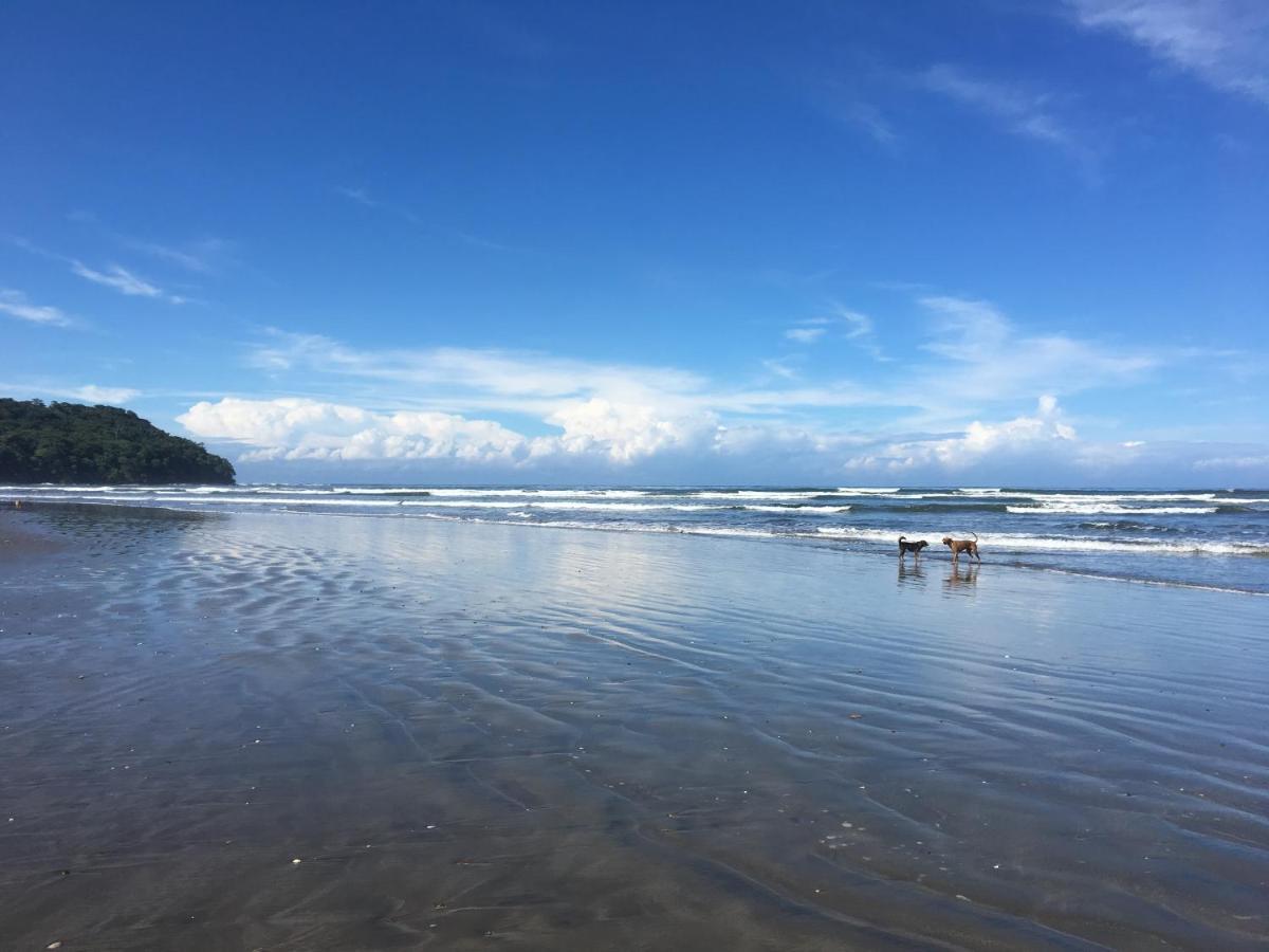 הוסטל San Francisco de Coyote Alouatta Playa Coyote מראה חיצוני תמונה